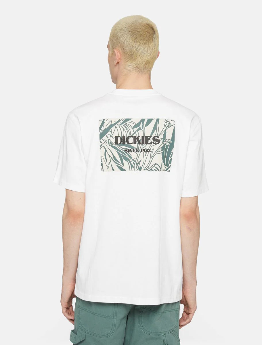 Dickies uomo t-shirt Max Meadows DK0A4YRLWHX1 Bianco