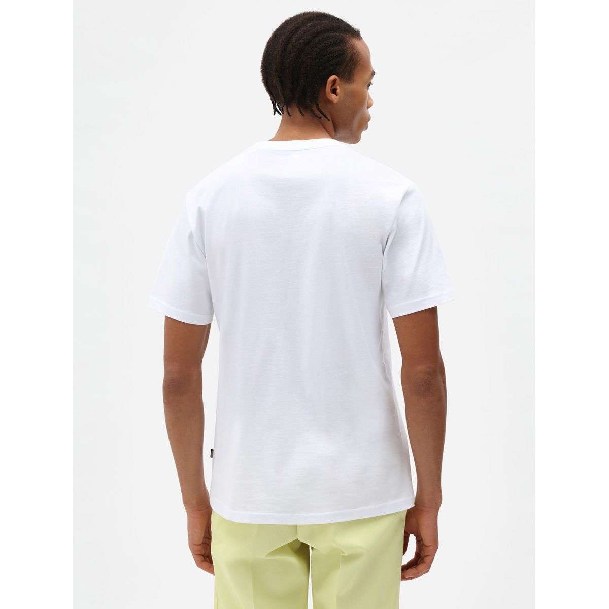 Dickies Uomo T-shirt Bianca Mapleton DK0A4XDBWHX1