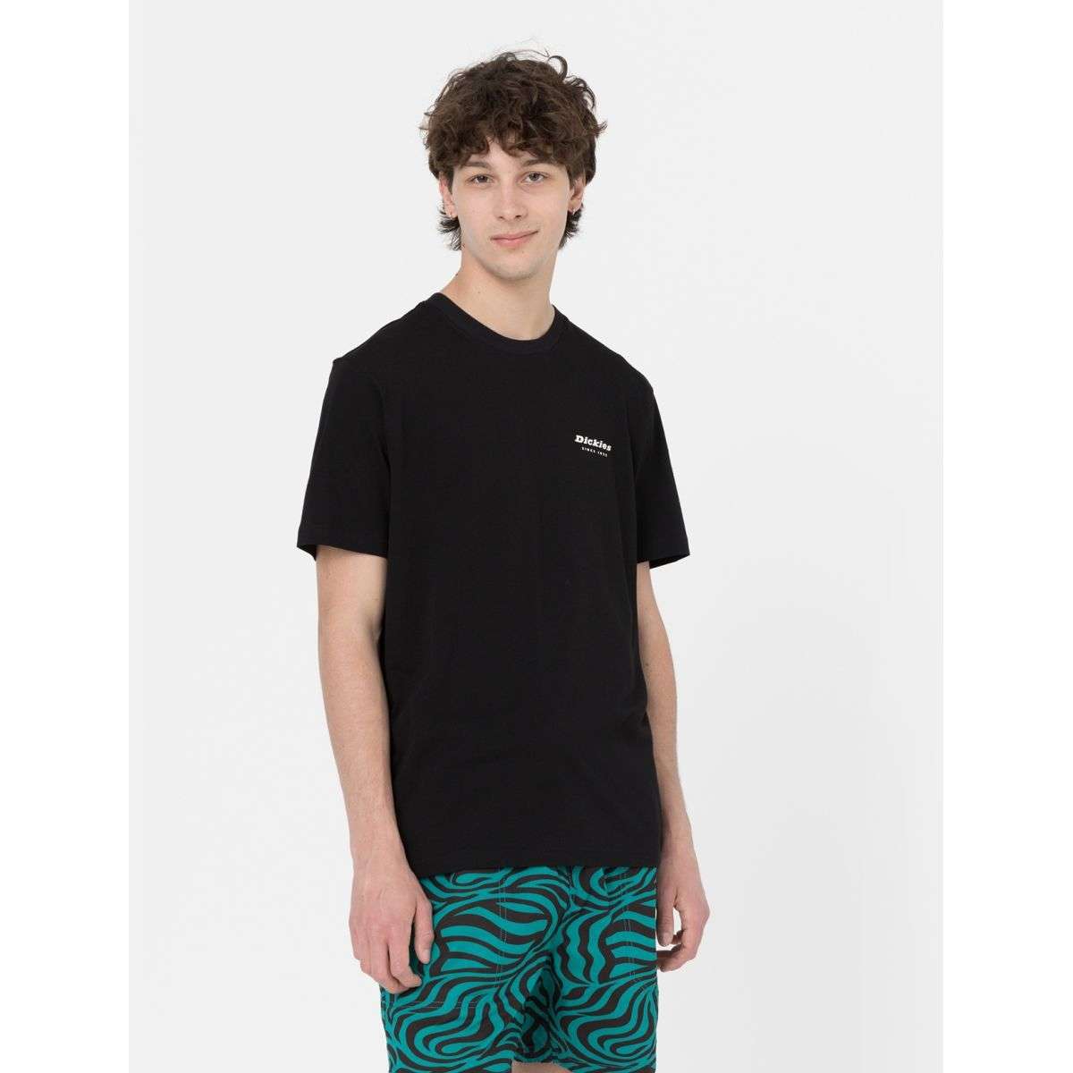 Dickies Uomo T-shirt Leesburg Nera DK0A4Y8QBLK1