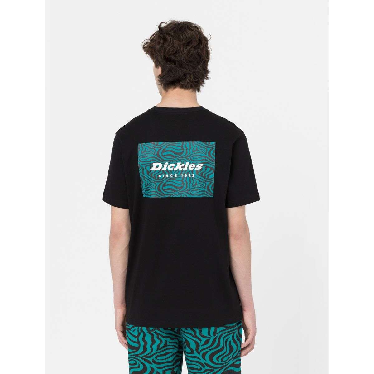 Dickies Uomo T-shirt Leesburg Nera DK0A4Y8QBLK1