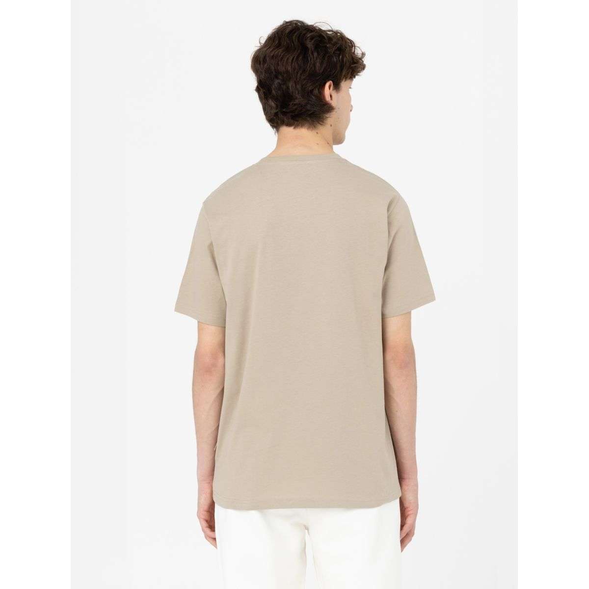 Dickies Uomo T-shirt Mapleton Sabbia DK0A4XDBDS01