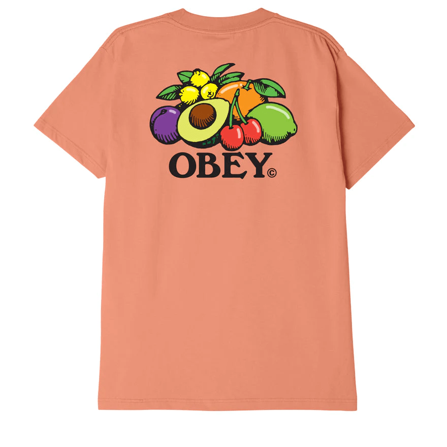 Obey Uomo T-shirt Bowl Fruit 22MC0000591