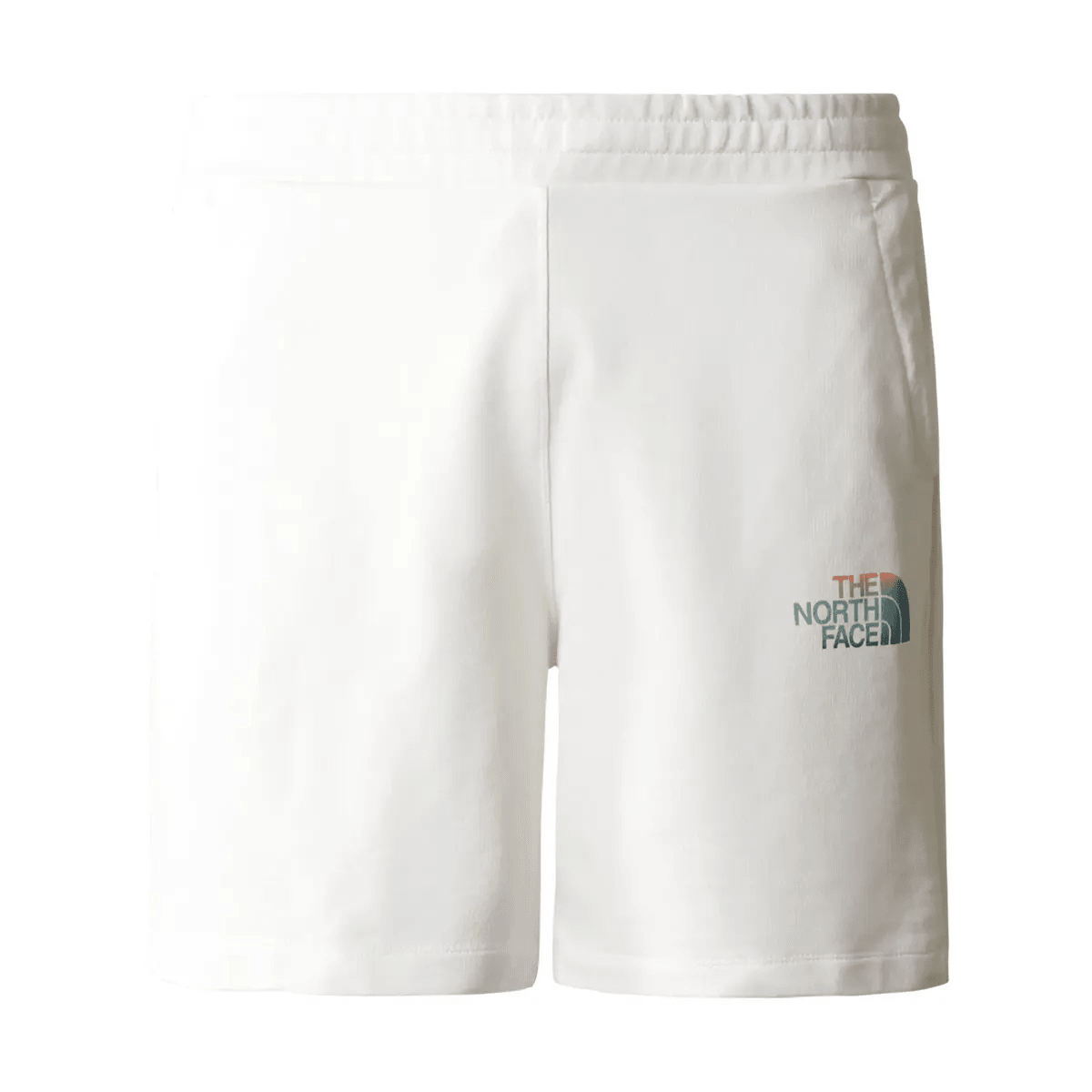 The North Face Uomo Bermuda Graphic D2 Shorts NF0A83FRN3N1