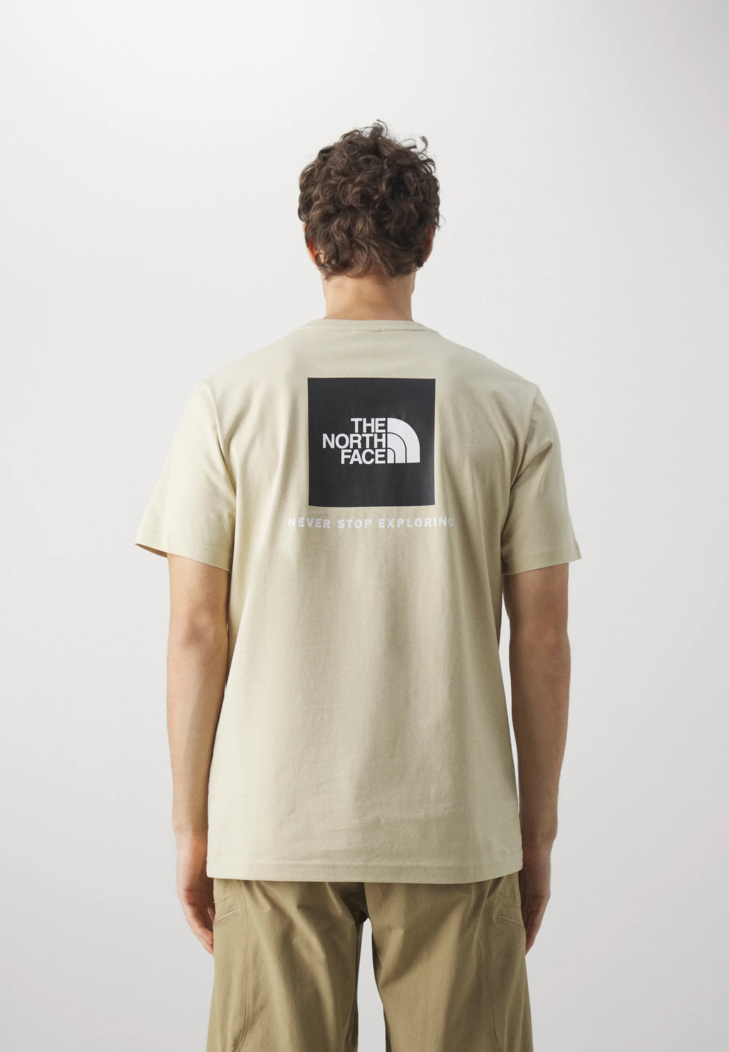 The North Face uomo t-shirt S/S Box Nse NF0A87NP3X41