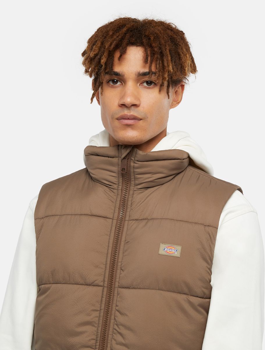 dickies uomo smanicato DK0A4Y2KMR1 waldenburg vest mushroom