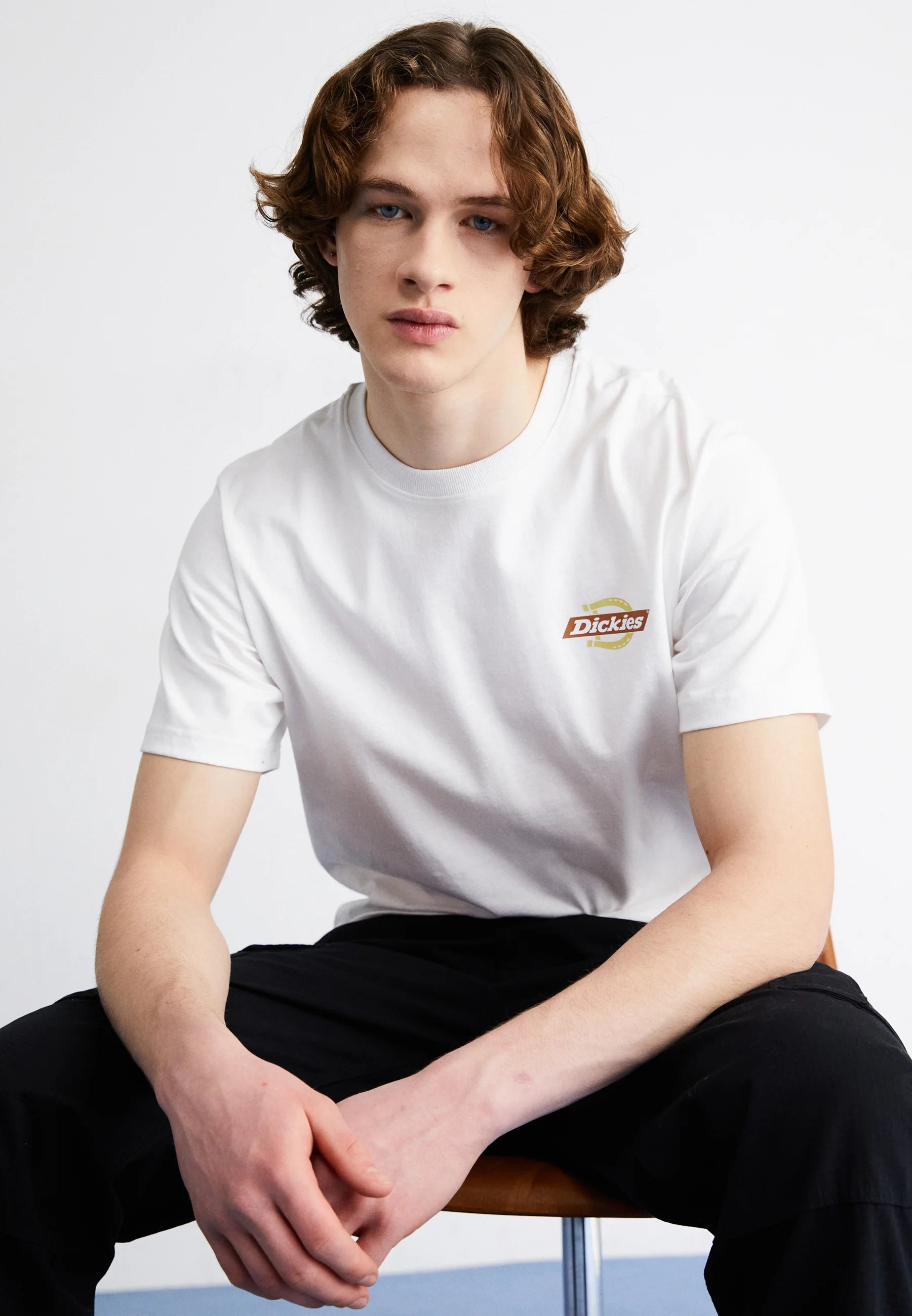 Dickies Uomo T-shirt Ruston DK0A4XDCH801