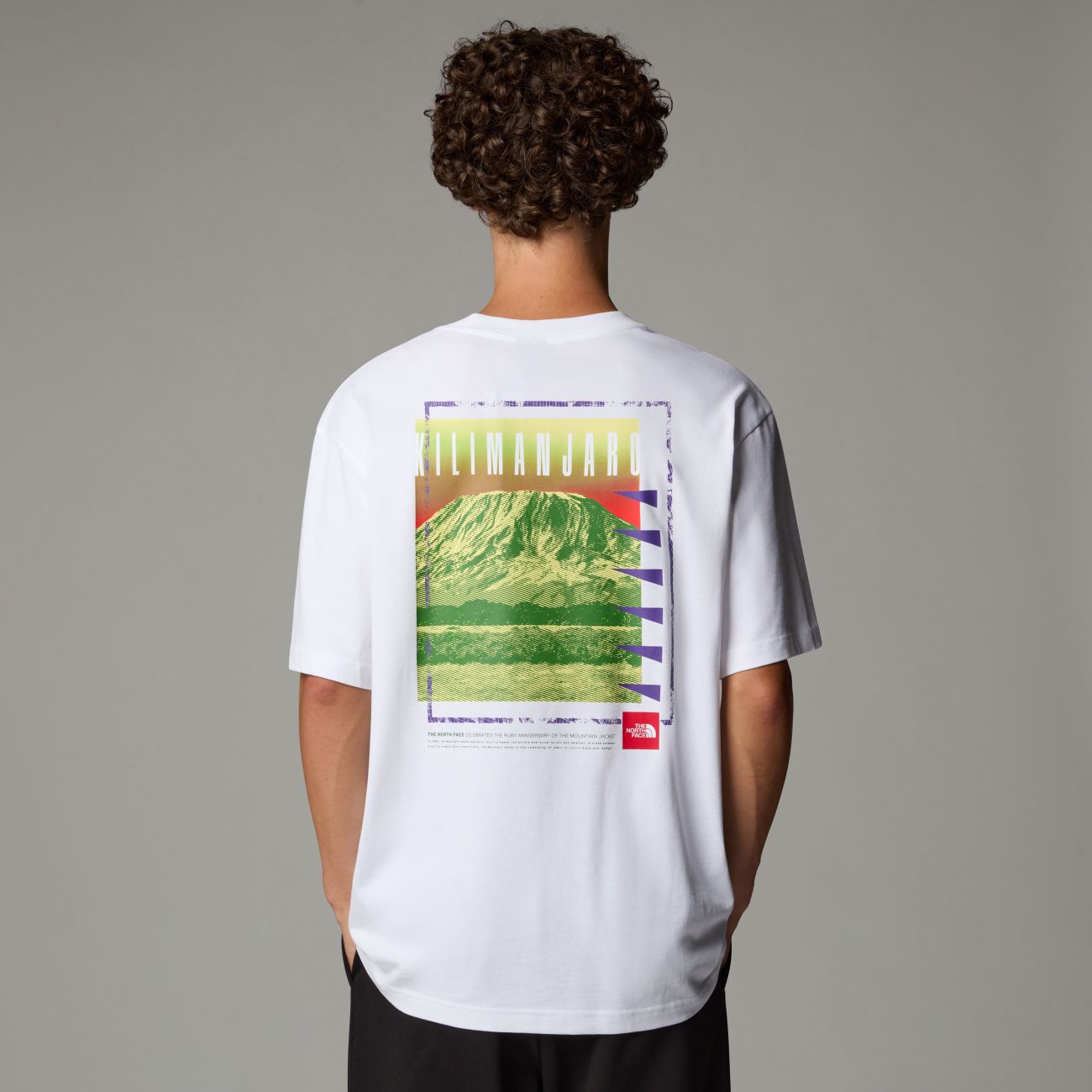 The North Face uomo t-shirt Never Stop NF0A8C3AFN41