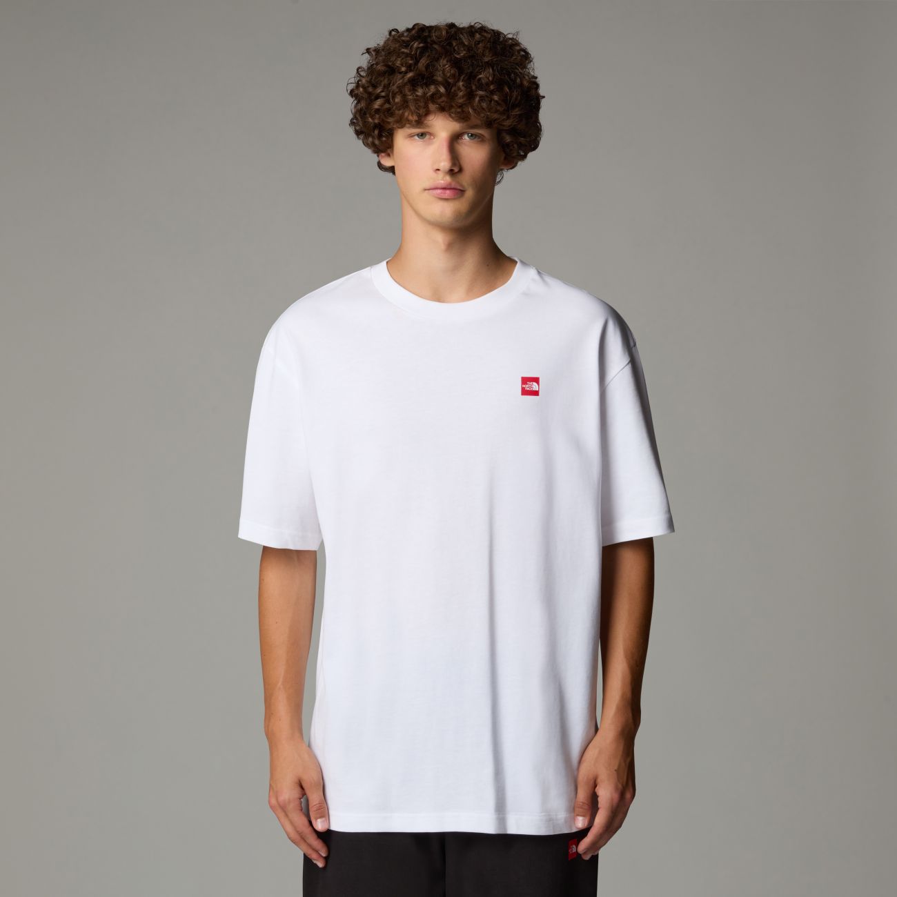 The North Face uomo t-shirt Never Stop NF0A8C3AFN41