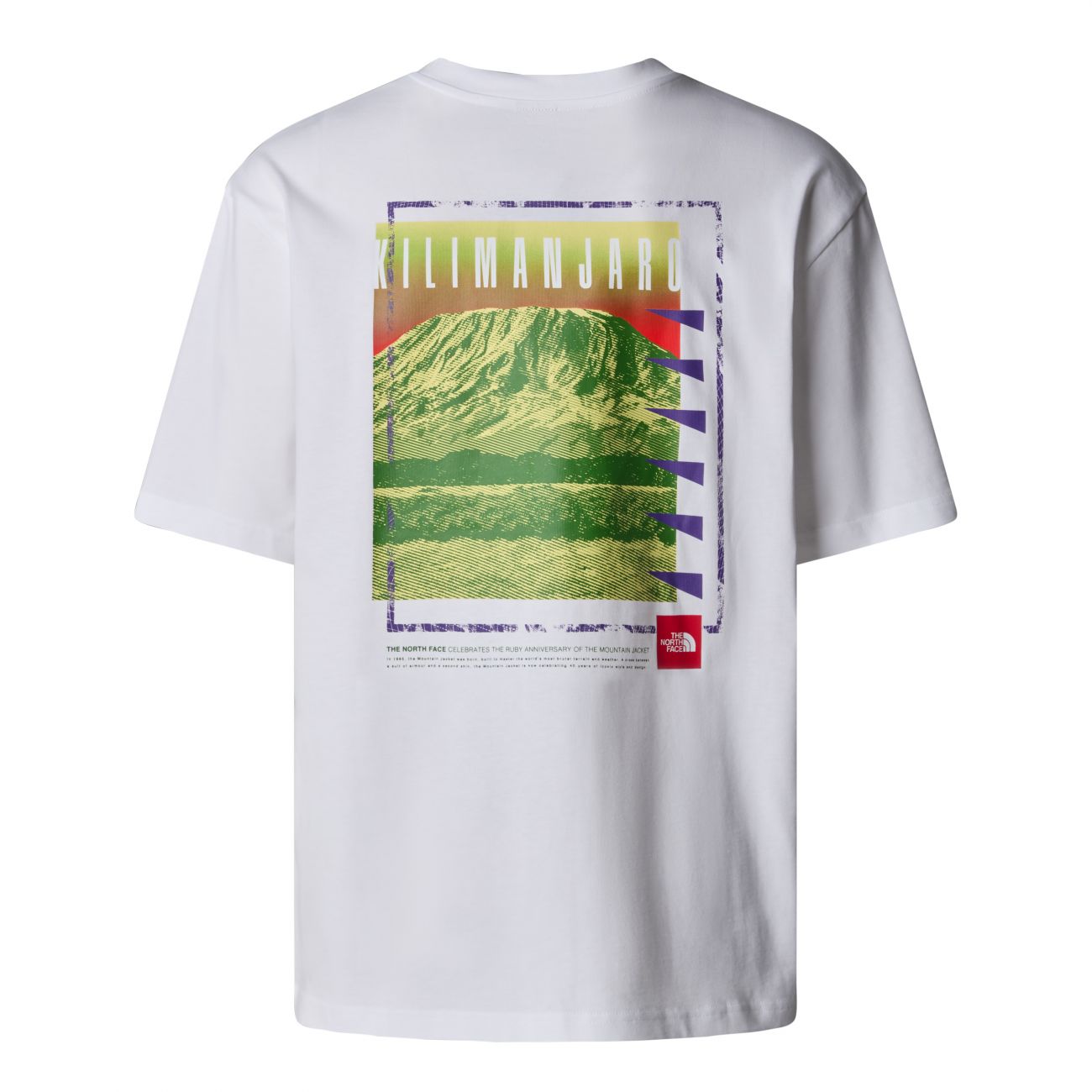 The North Face uomo t-shirt Never Stop NF0A8C3AFN41