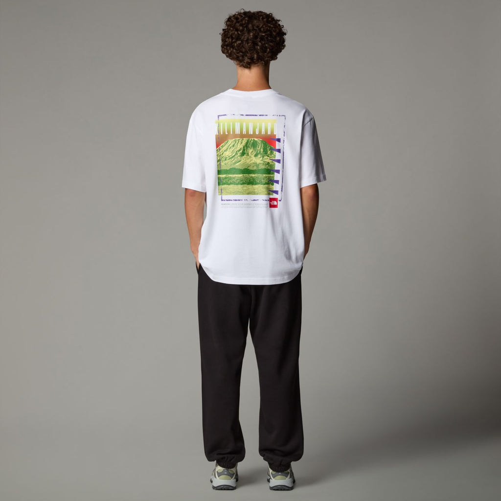 The North Face uomo t-shirt Never Stop NF0A8C3AFN41