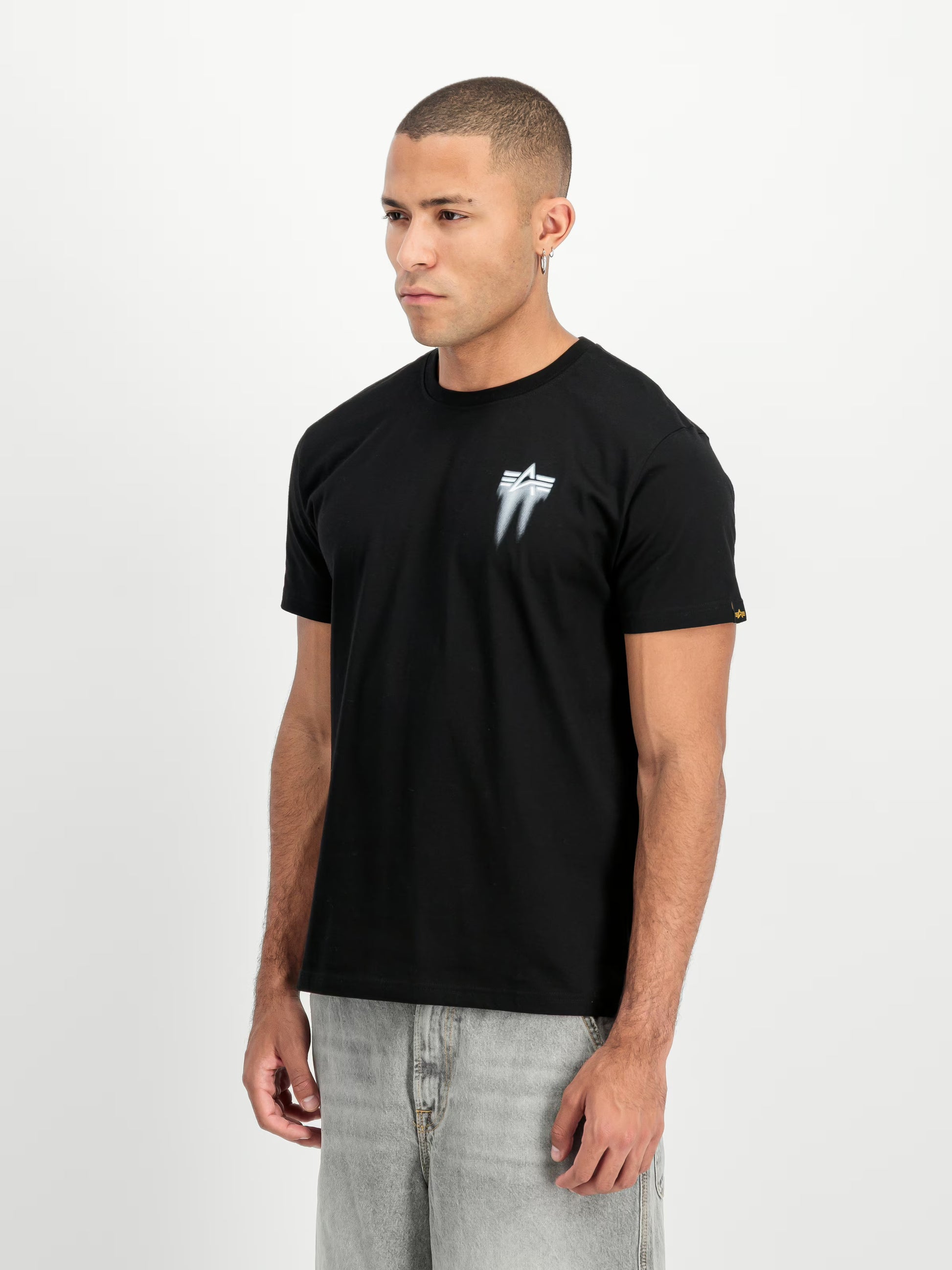 Alpha Industries uomo t-shirt Spray Print T SS266526
