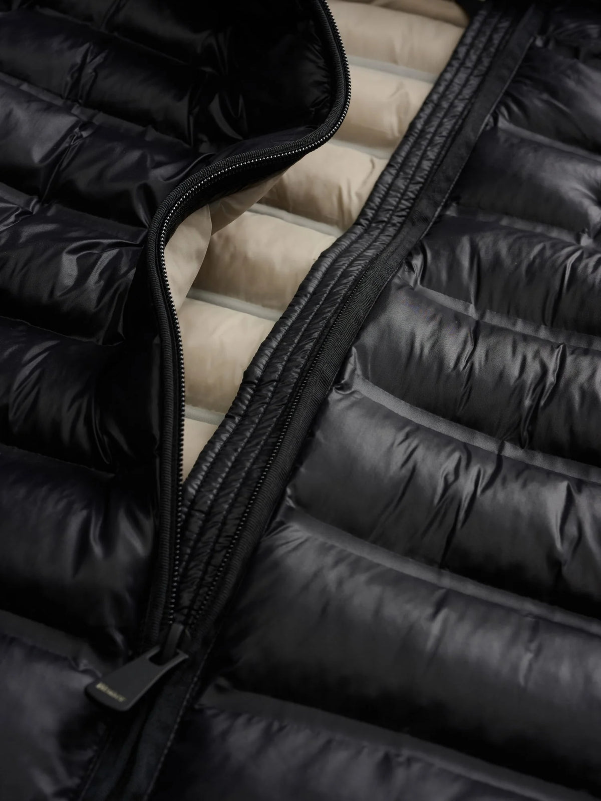 Blauer giubbino ELLIS 26WBLDC02221-007284