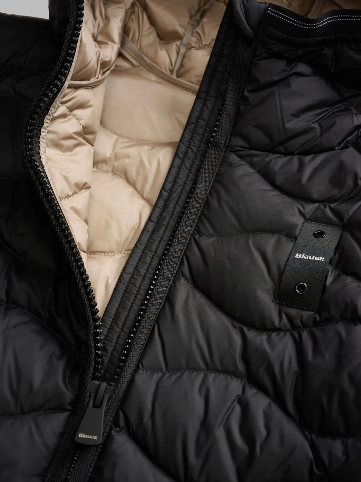 Blauer giubbino CAMELIA 26WBLDC03033-006047CRDS