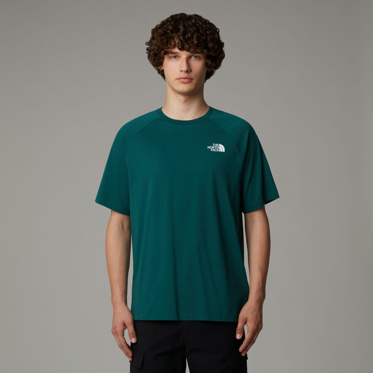 The North Face uomo t-shirt Simple Dome NF0A87NG6GI1
