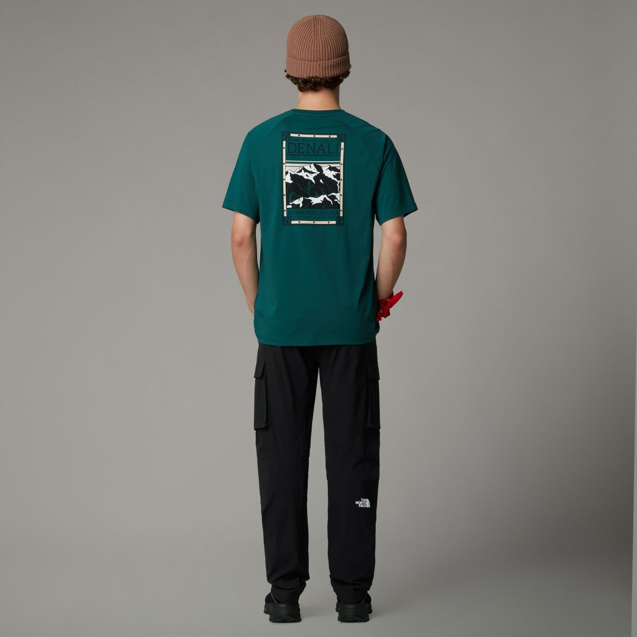 The North Face uomo t-shirt Simple Dome NF0A87NG6GI1