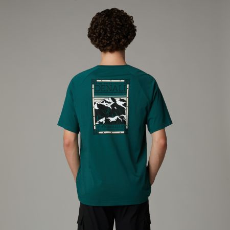 The North Face uomo t-shirt Simple Dome NF0A87NG6GI1