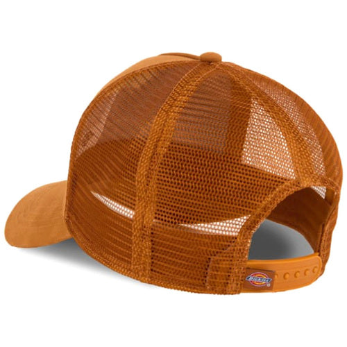 Dickies uomo cappello Hanston DK0A4YV30BD1