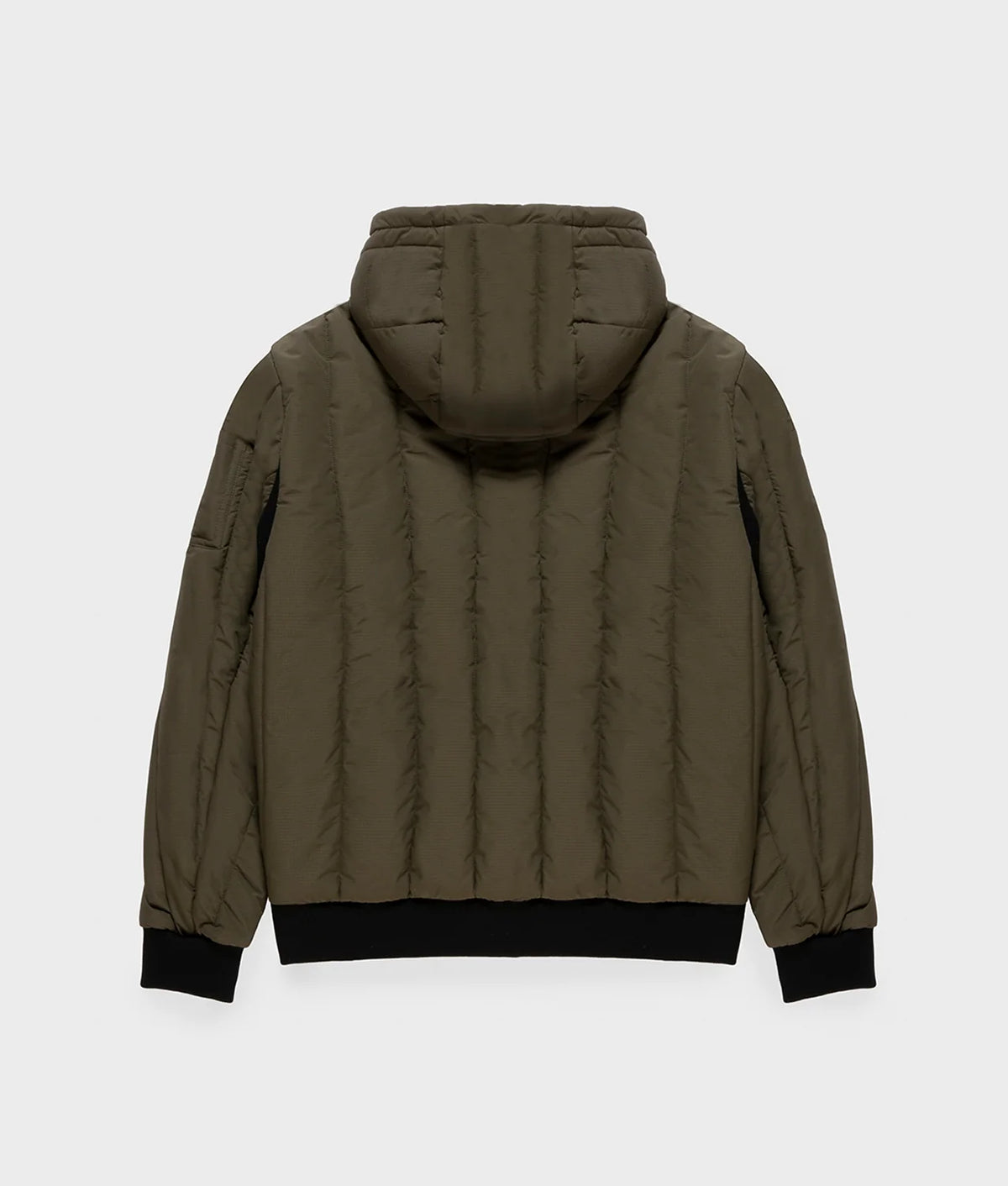 Refrigiwear giubbino BLUNT M0G81800PL SEA TURTLE