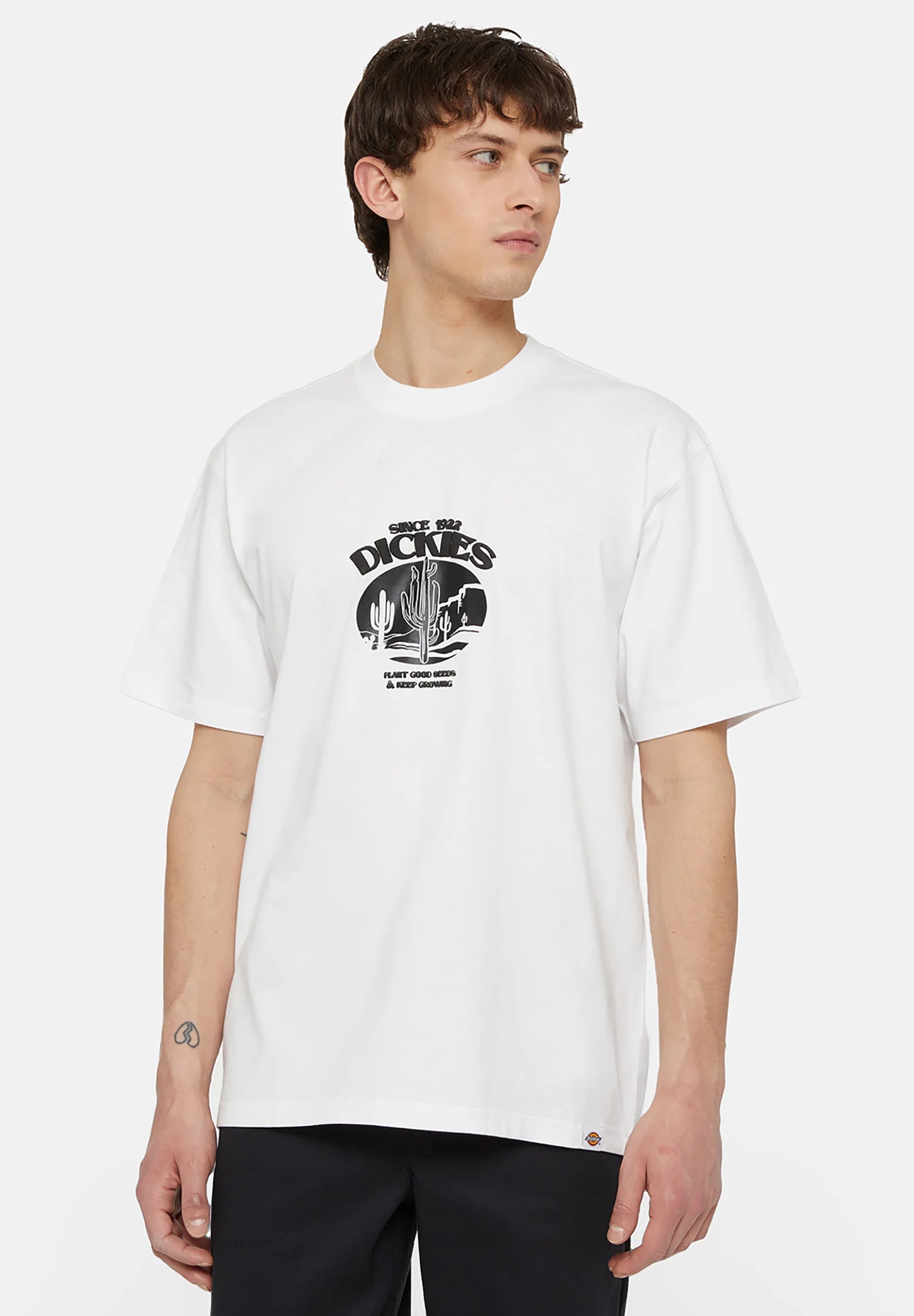 Dickies Uomo T-shirt Timberville DK0A4YR3WHX1