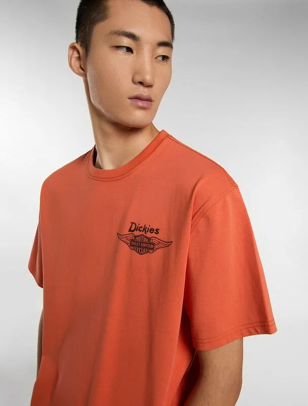 Dickies uomo t-shirt SS TEE 1 DK0A88DJK901
