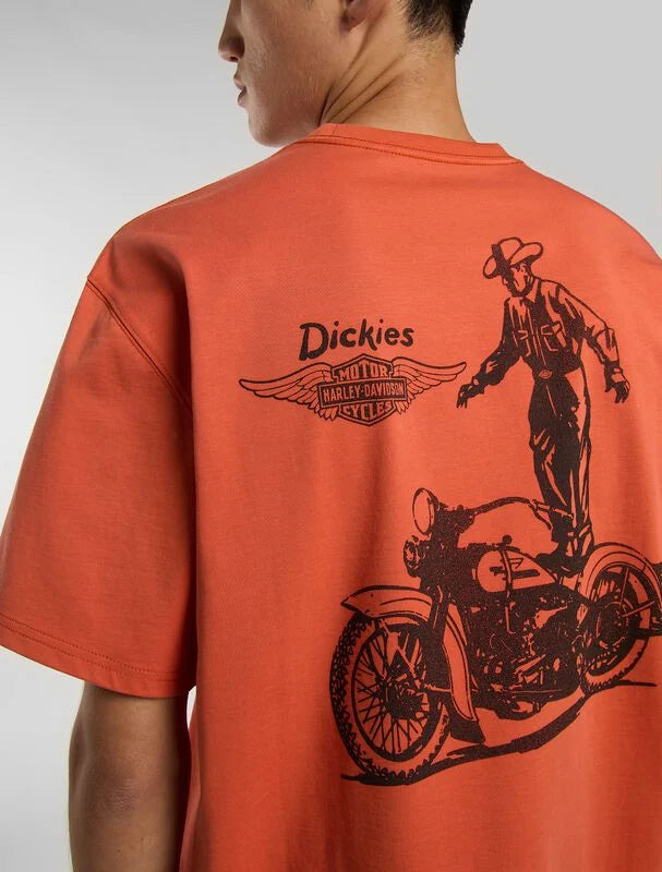 Dickies uomo t-shirt SS TEE 1 DK0A88DJK901