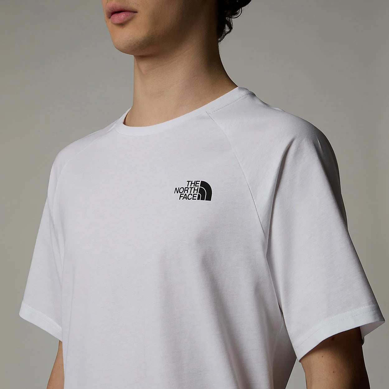 The North Face uomo t-shirt S/S NF0A87NUFN41