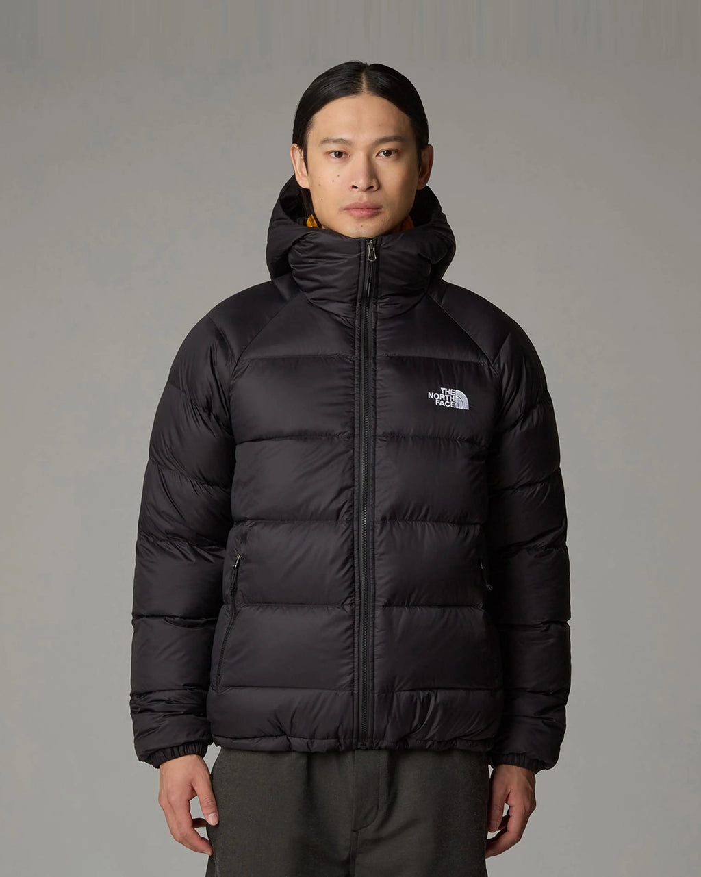 The North Face giubbino HYDRENALITE NF0A5GIEJK31