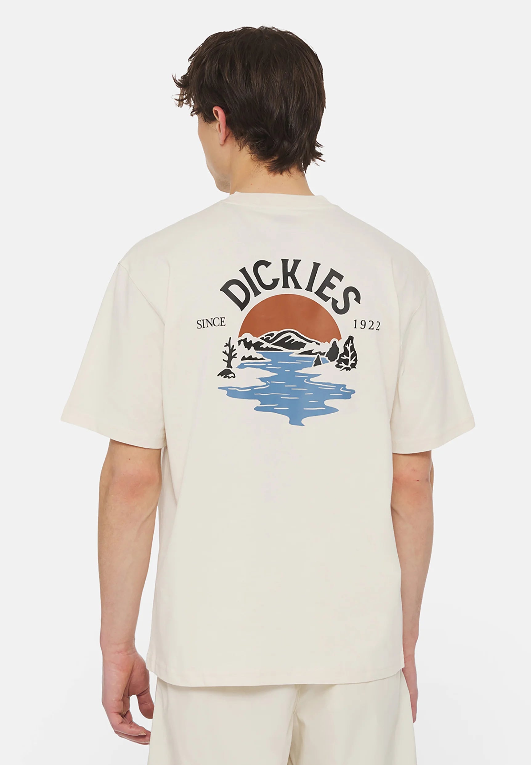Dickies Uomo T-shirt beach DK0A4YRDF901