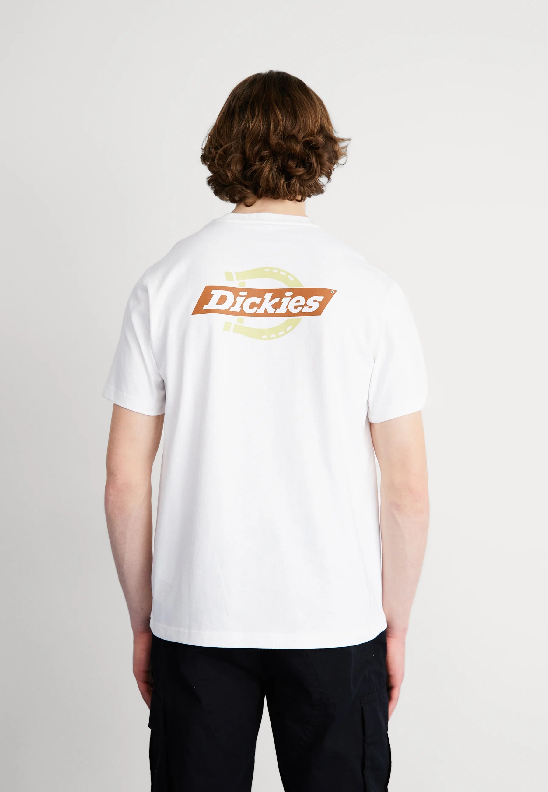 Dickies Uomo T-shirt Ruston DK0A4XDCH801