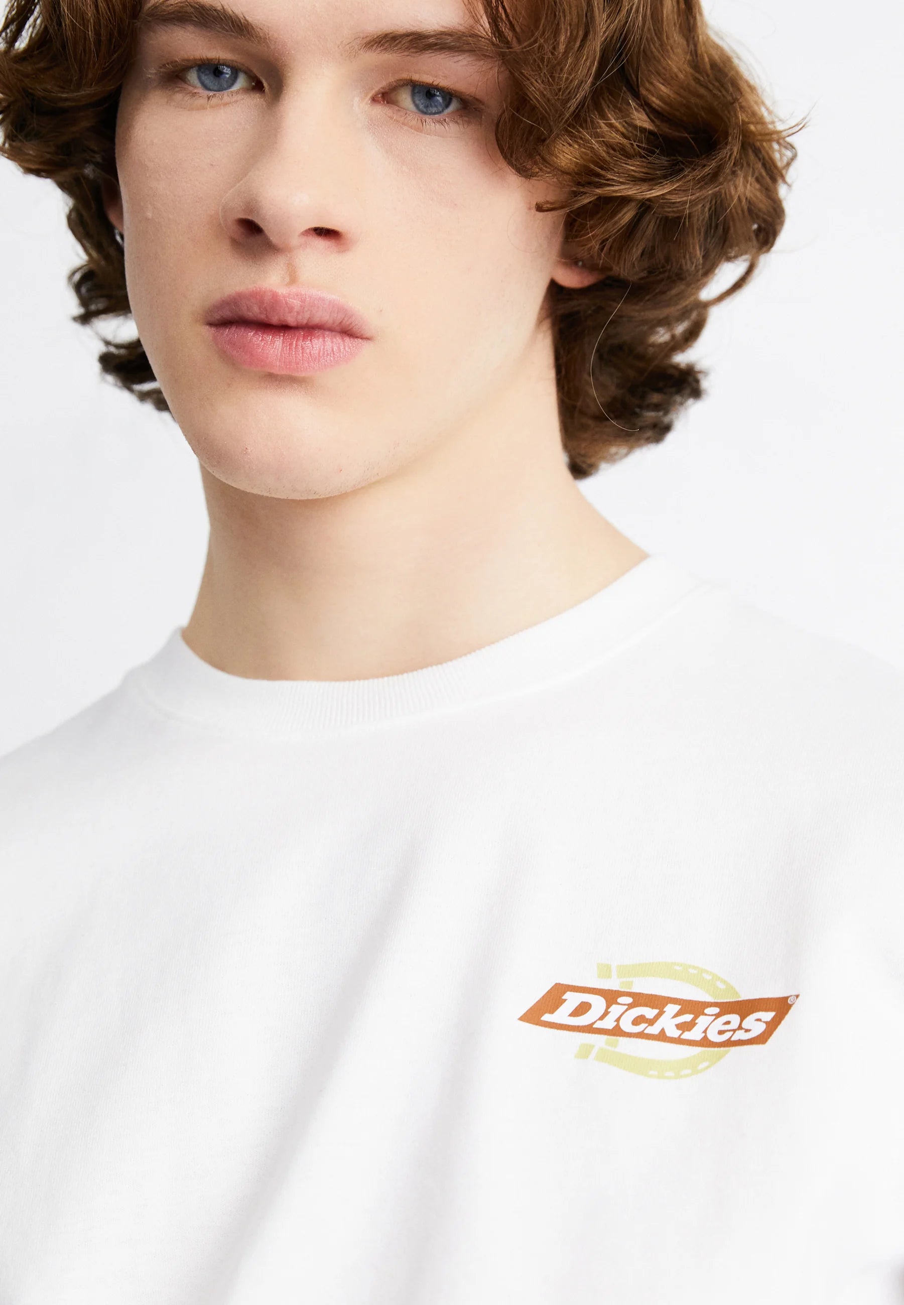 Dickies Uomo T-shirt Ruston DK0A4XDCH801