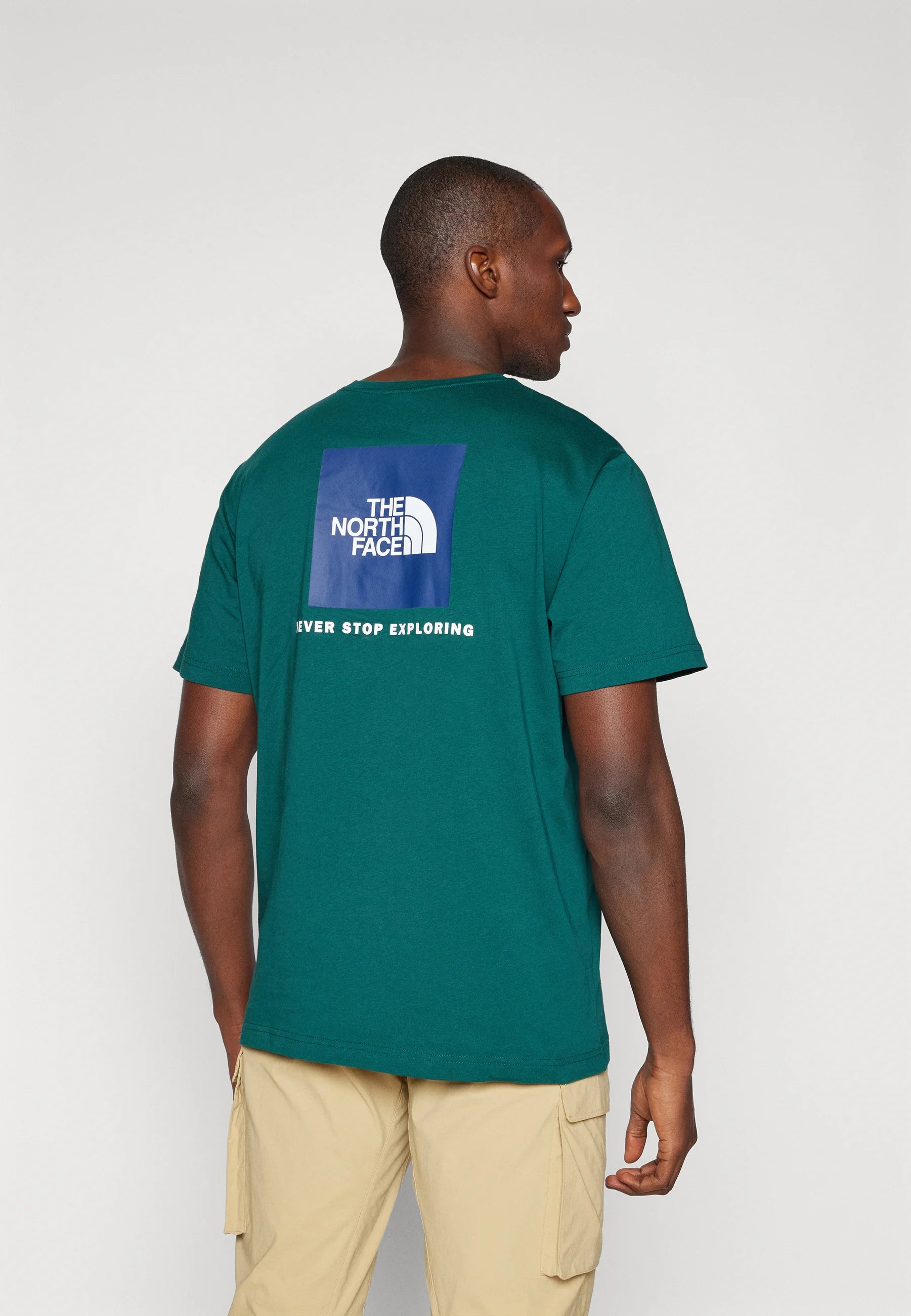 The North Face uomo t-shirt S/S Box Nse NF0A87NPA1B1