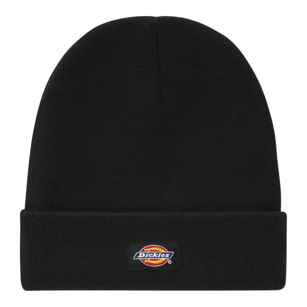 Dickies cappello Gibsland  DK0A4X7KBLK1 Black