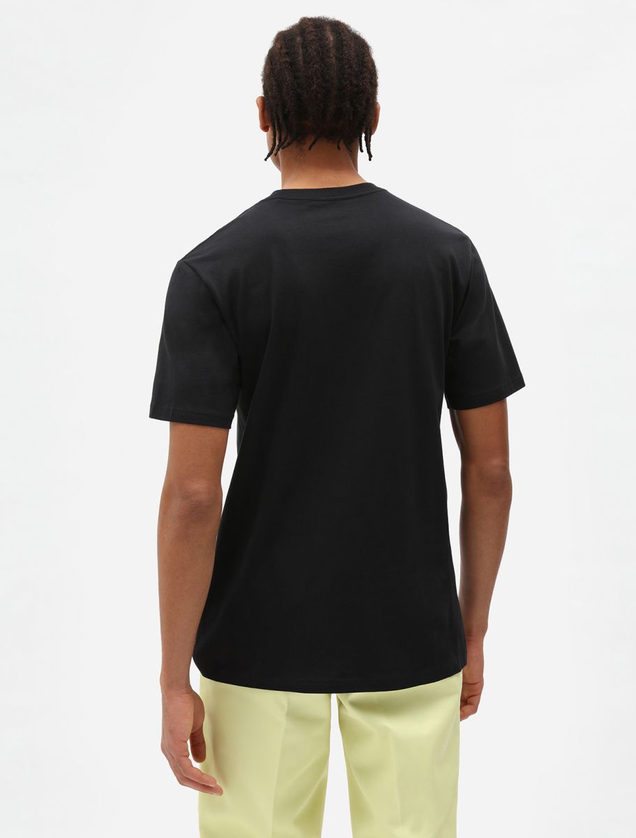 Dickies uomo t-shirt Mapleton DK0A4XDBBLK1