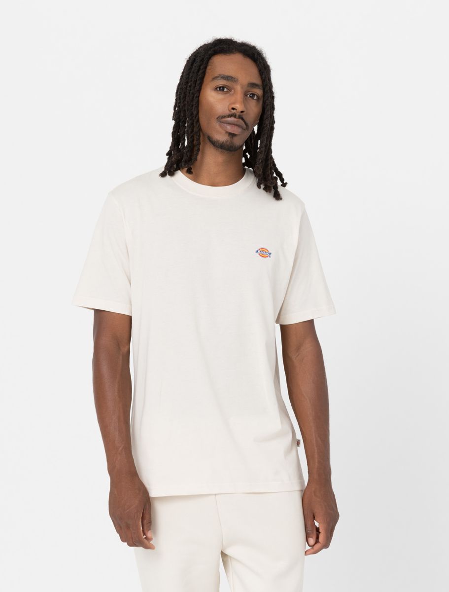 Dickies uomo t-shirt Mapleton DK0A4XDBWHX1