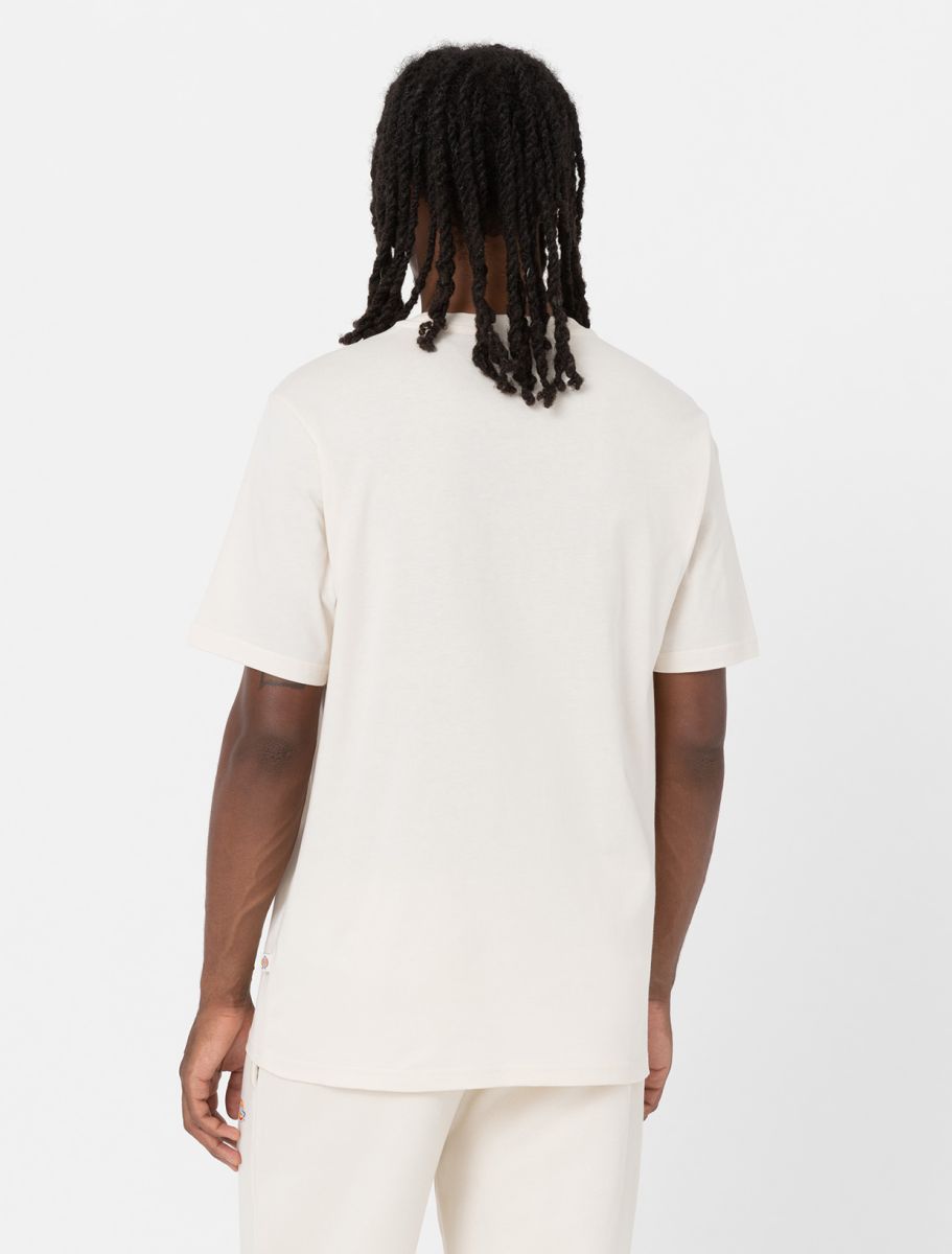 Dickies uomo t-shirt Mapleton DK0A4XDBWHX1