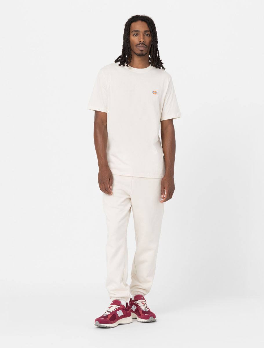 Dickies uomo t-shirt Mapleton DK0A4XDBWHX1