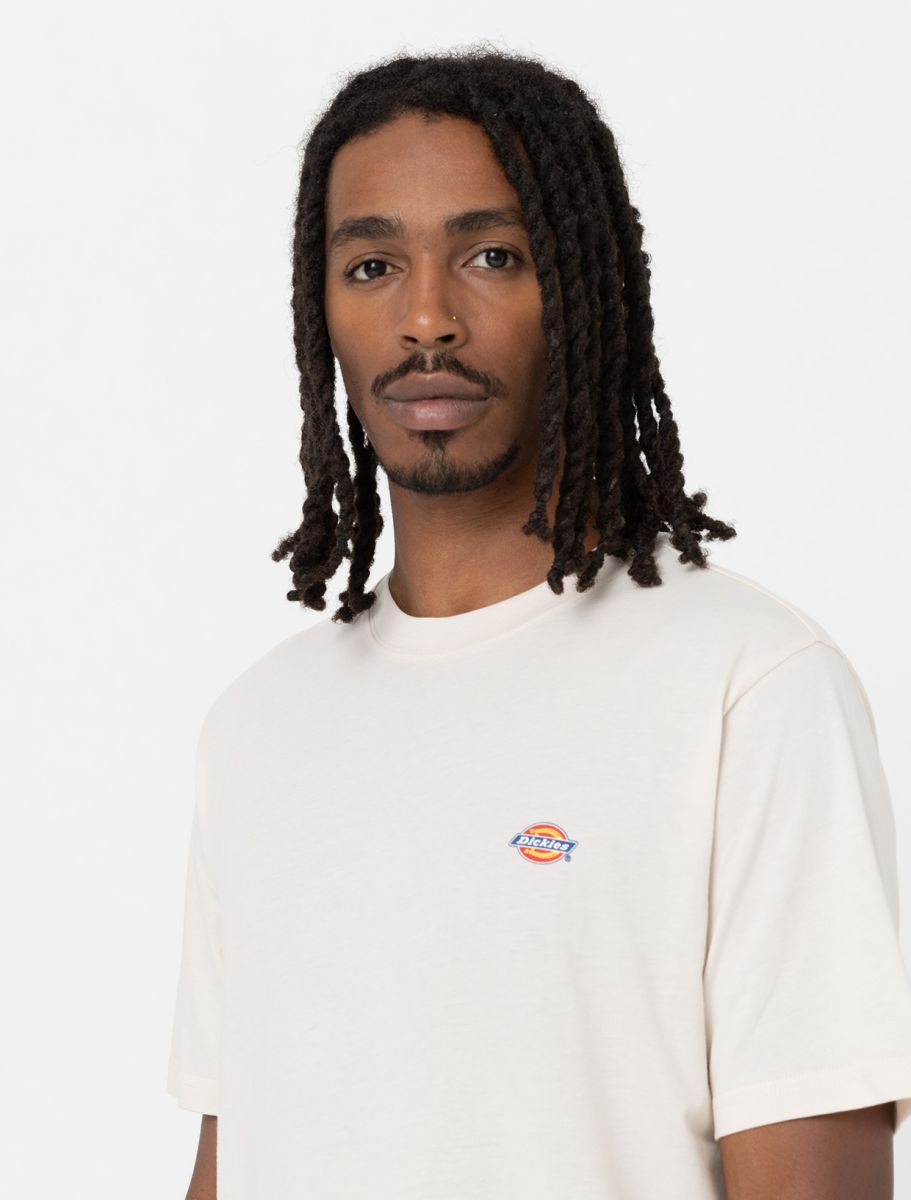 Dickies uomo t-shirt Mapleton DK0A4XDBWHX1