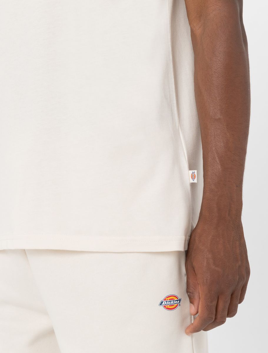 Dickies uomo t-shirt Mapleton DK0A4XDBWHX1