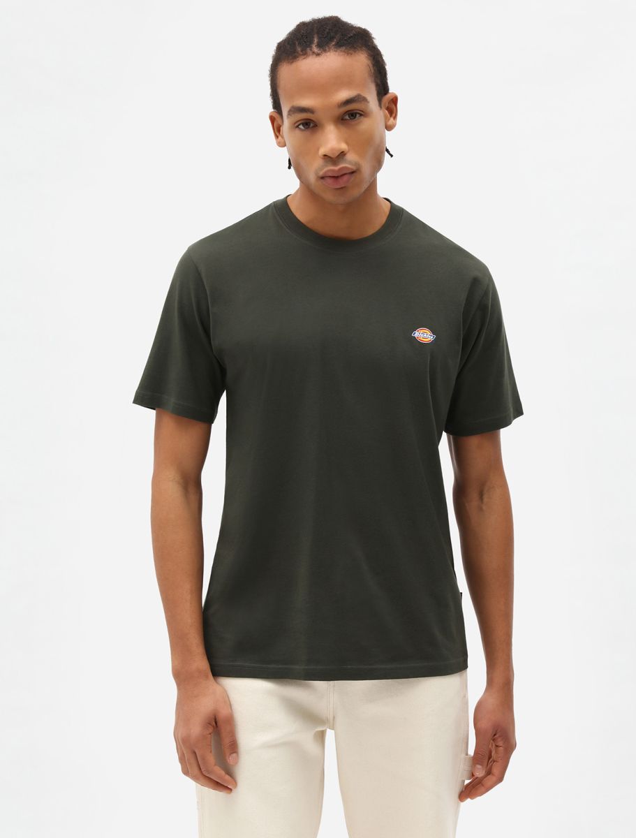 Dickies uomo t-shirt Mapleton DK0A4XDBOGX1