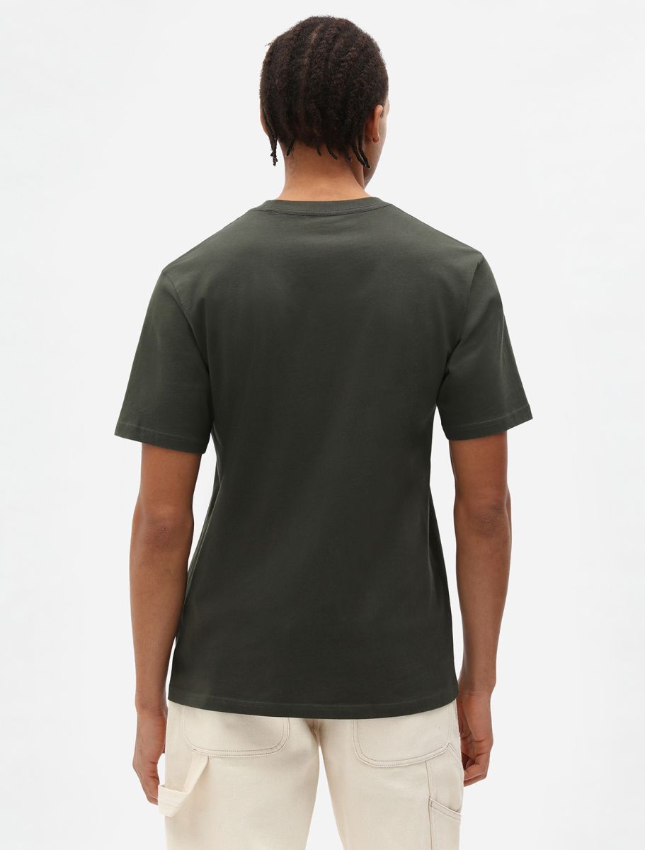 Dickies uomo t-shirt Mapleton DK0A4XDBOGX1