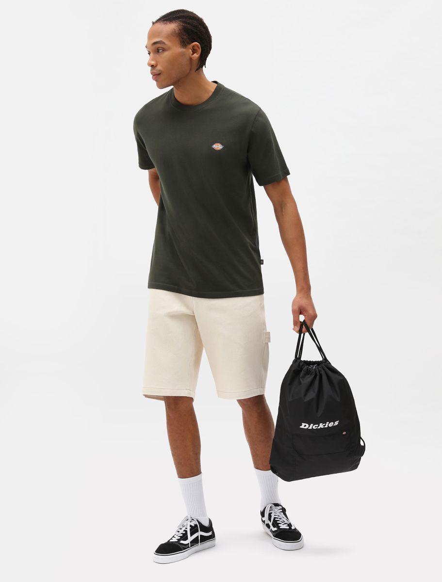 Dickies uomo t-shirt Mapleton DK0A4XDBOGX1