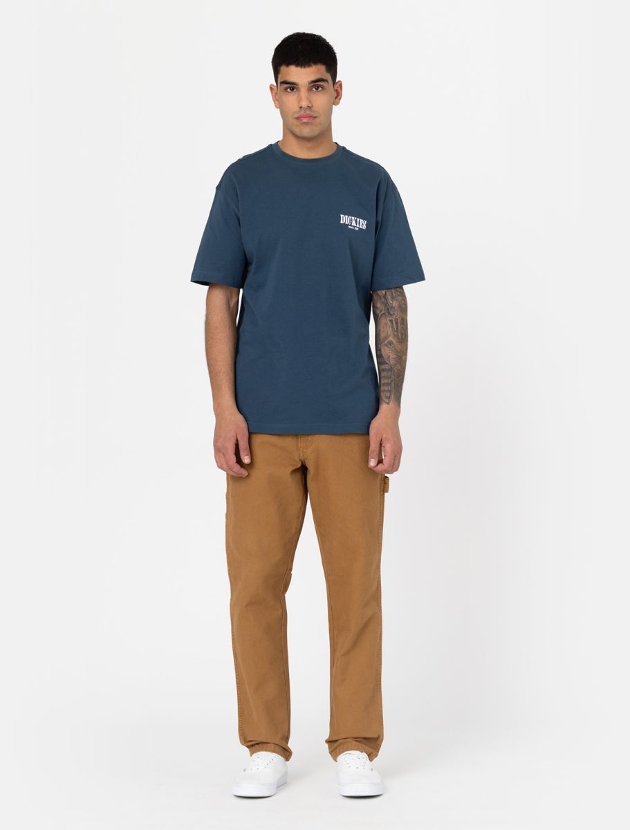 dickies uomo pantalone duck carpenter stone w.brown