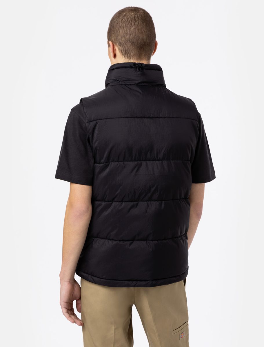 dickies uomo smanicato waldenburg vest black