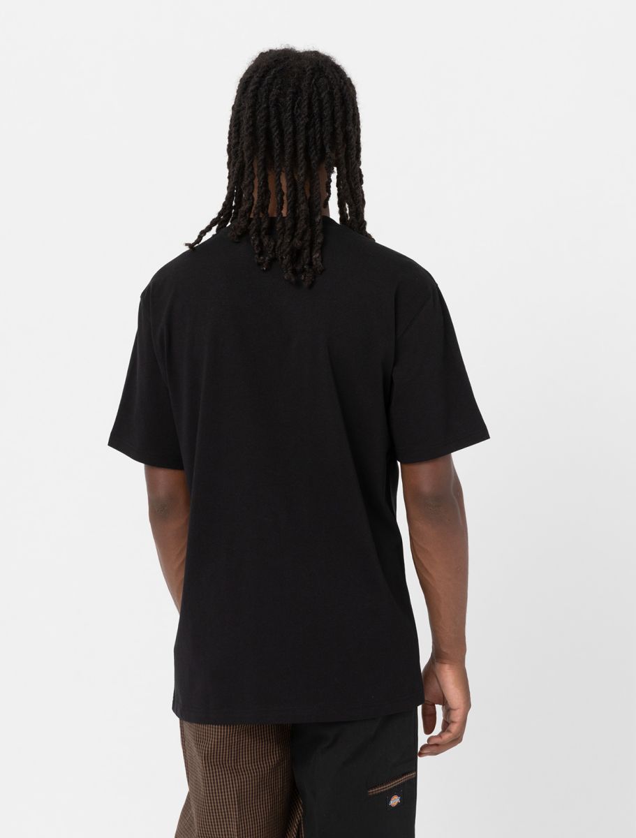 Dickies uomo t-shirt Luray Pocket DK0A4YFCBLK1