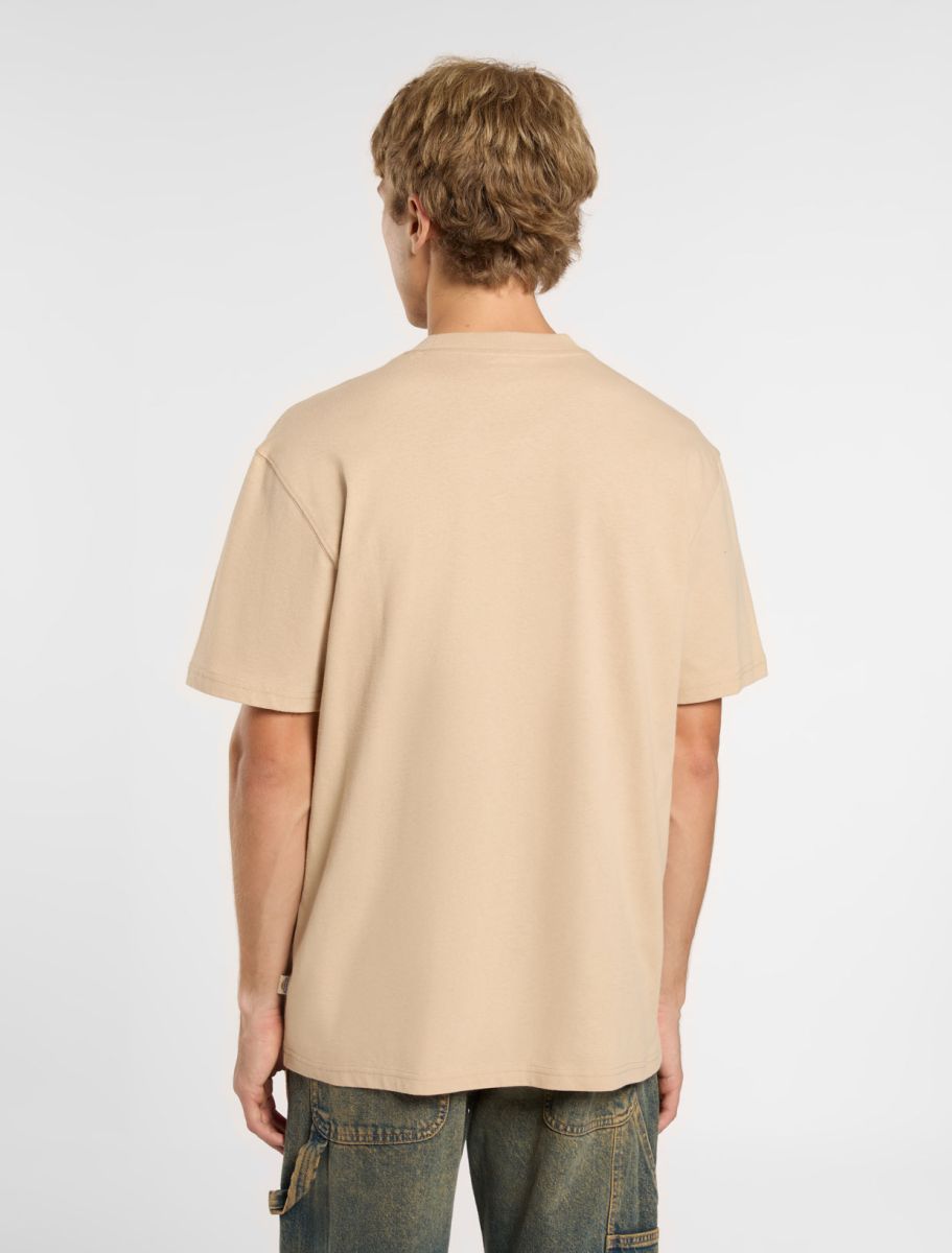 Dickies uomo t-shirt Luray Pocket DK0A4YFCF951