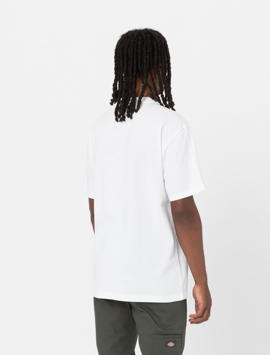 Dickies uomo t-shirt Luray Pocket DK0A4YFCWHX1