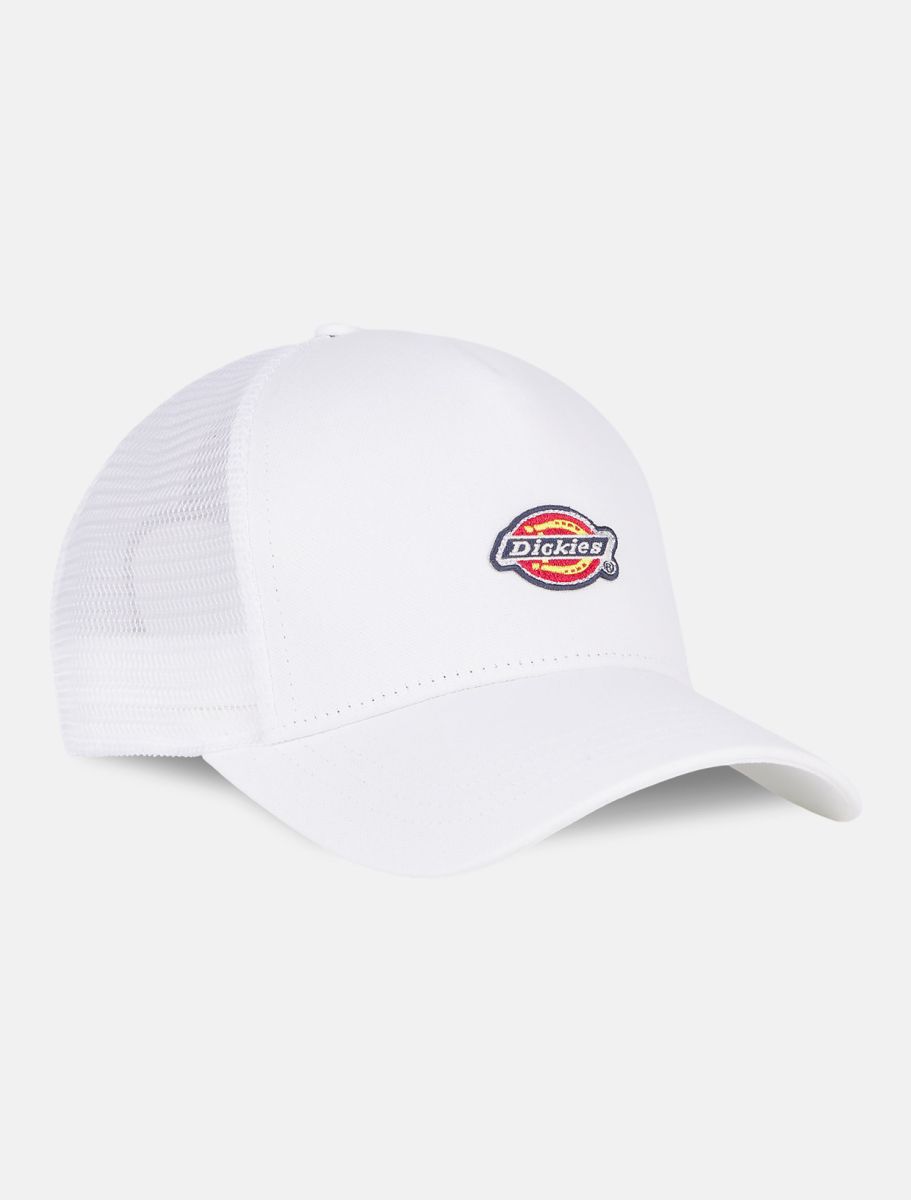 Dickies cappello Hanston DK0A4YV3C581