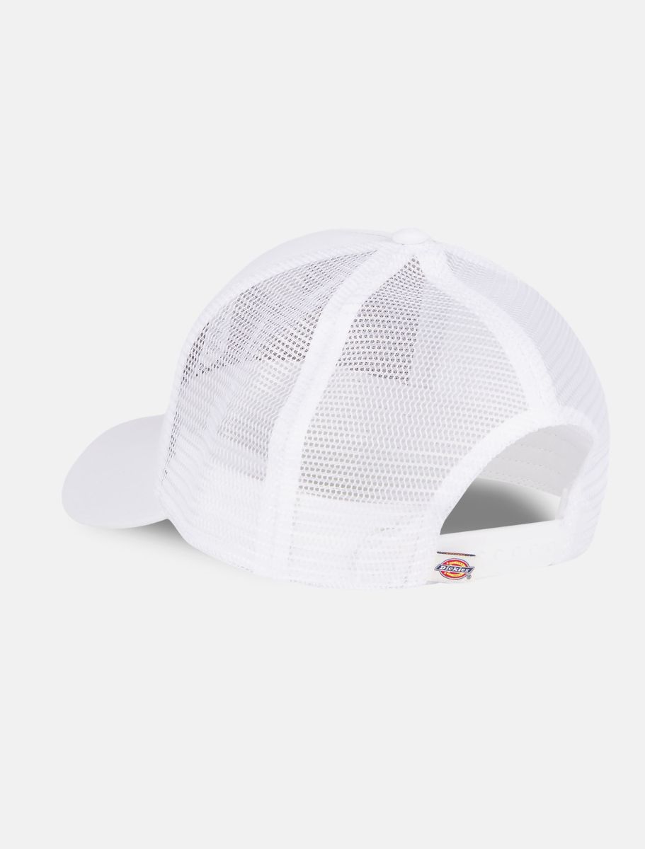 Dickies cappello Hanston DK0A4YV3C581