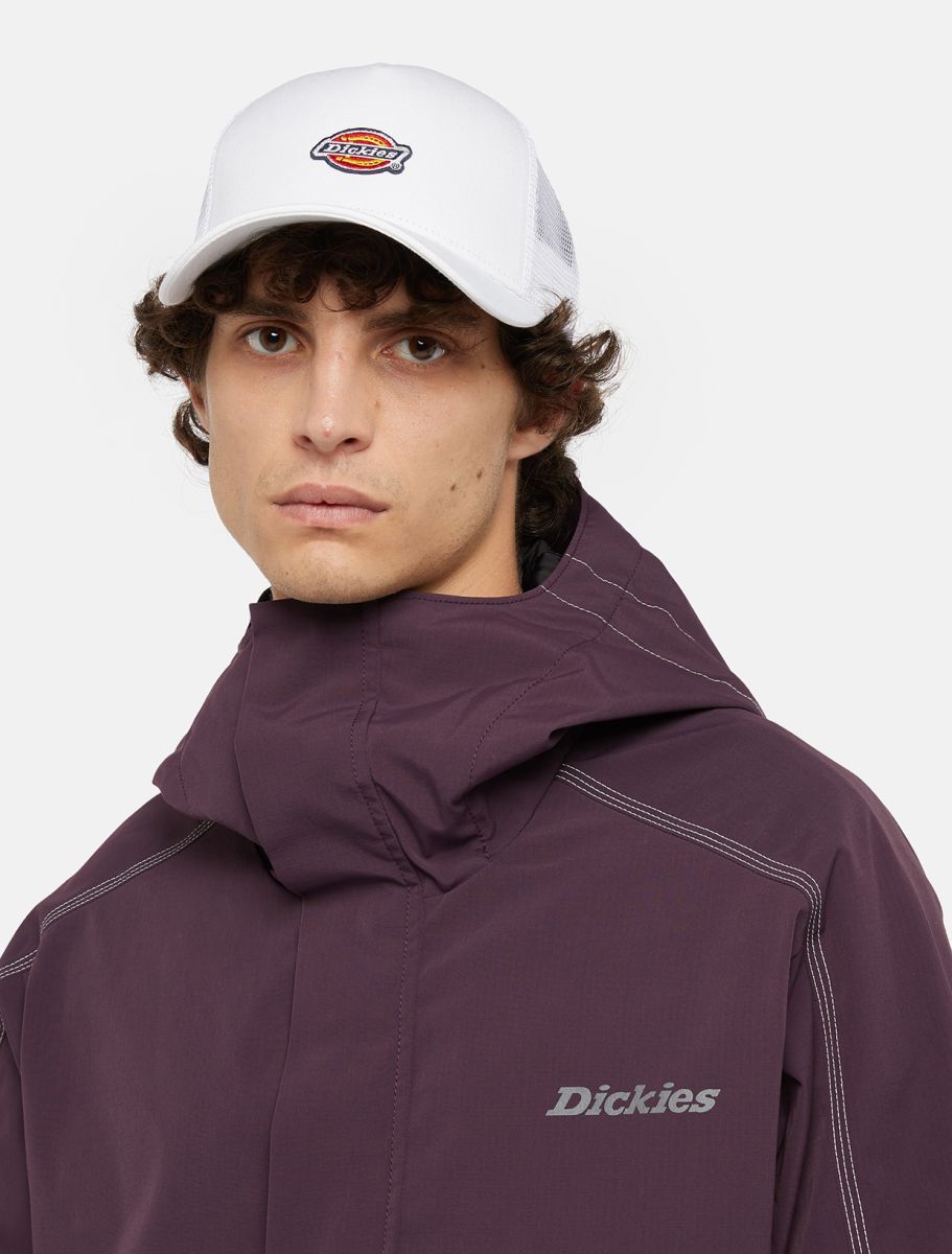 Dickies cappello Hanston DK0A4YV3C581