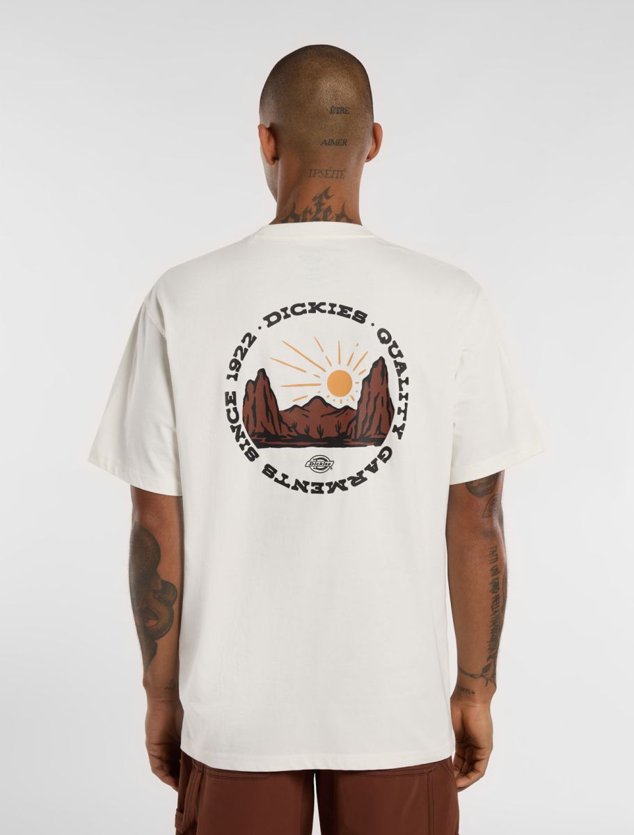 Dickies uomo t-shirt Outdoor DK0A4Z8PC481